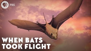 When Bats Took Flight [upl. by Adlare]