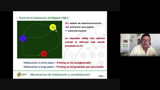 04 Mecanismos de habituación y sensibilización [upl. by Rausch]