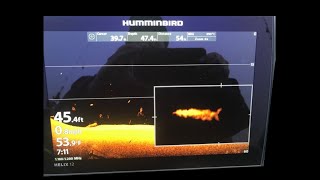 Humminbird Helix 12 GN3 Basic Settings [upl. by Lynnworth]