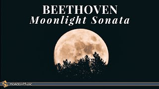 Beethoven  Moonlight Sonata  2 Hours Classical Piano Music for Relaxation [upl. by Rozella]