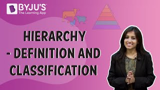 Hierarchy  Definition And Classification [upl. by Christoforo]