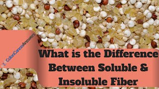 Whats the Difference Between Soluble and Insoluble Fiber [upl. by Polloch]