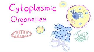 Cytoplasmic Organelles [upl. by Rento]